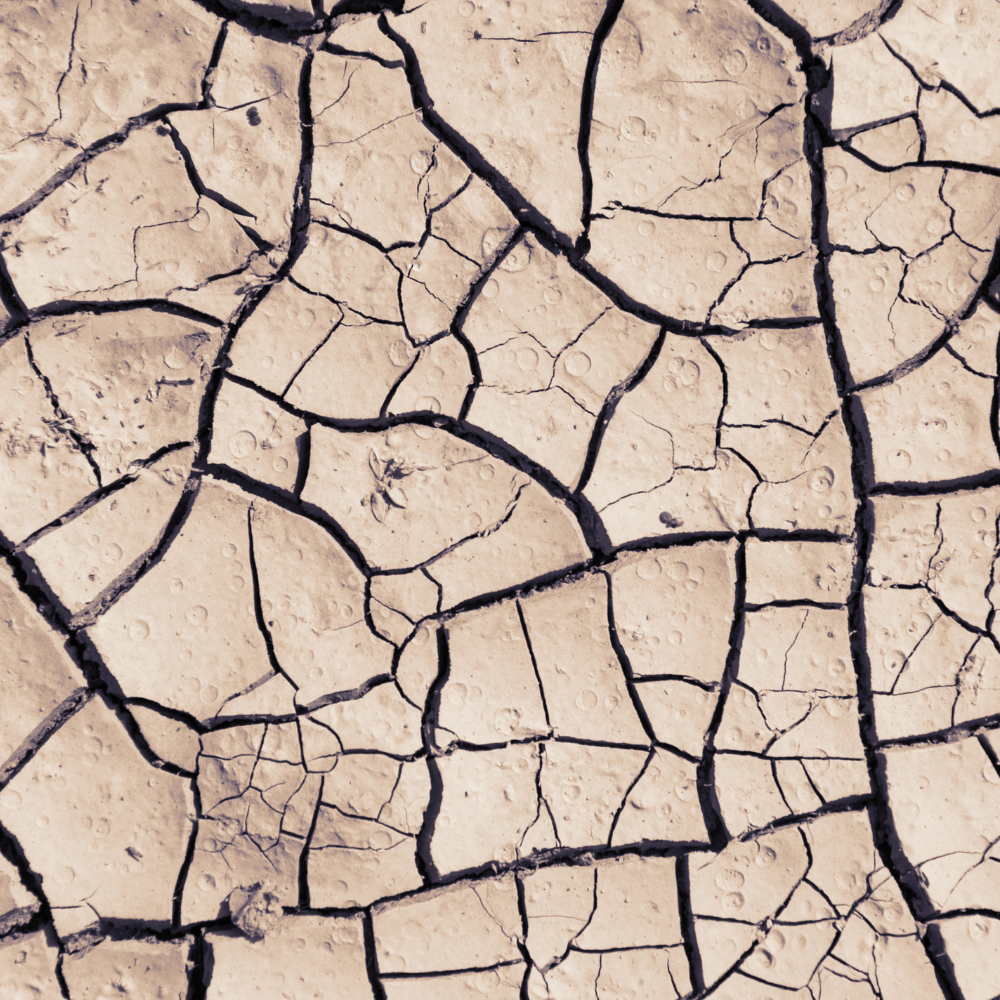 elixir-niactil-4-100-ml