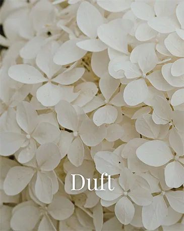 duft