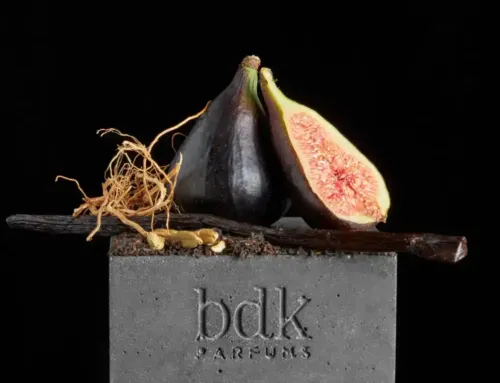 Høstparfyme – oppdag duftene som trender denne sesongen